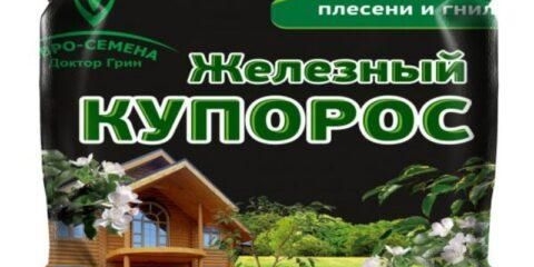 Tretiranje grožđa željeznim sulfatom: u jesen prije skloništa, u proljeće, doziranje, proporcije